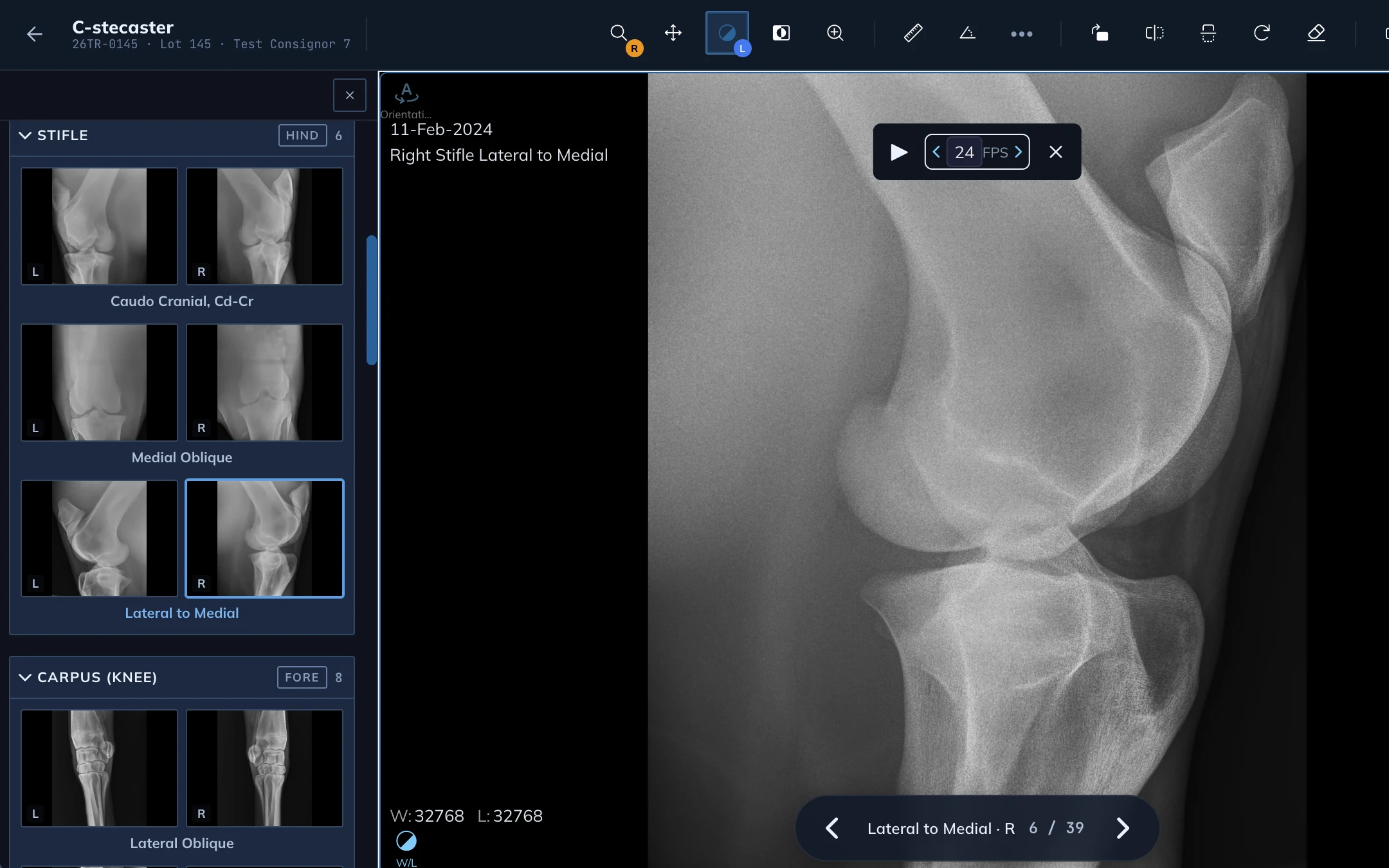 The ThoroughVet viewer with an x-ray study open